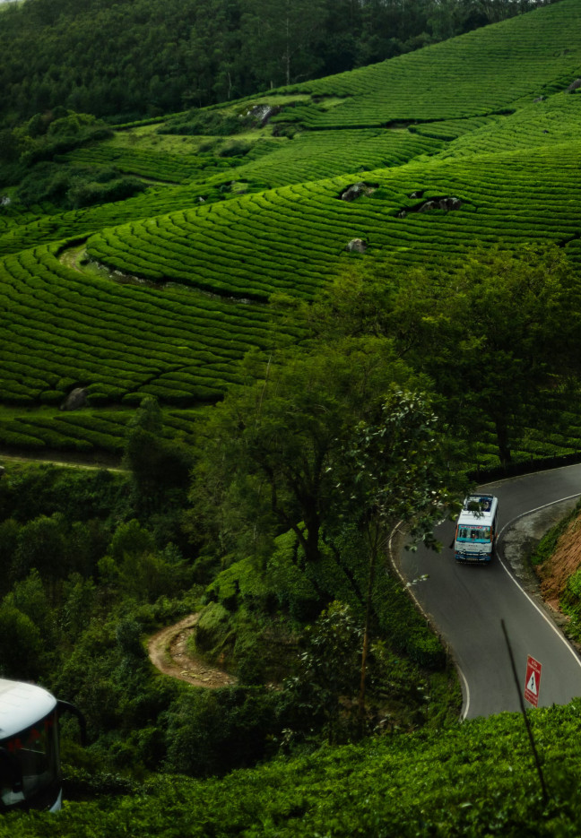 A comparison image showing the distinct landscapes of Kakkadampoyil and Wayanad, highlighting their unique natural appeal.