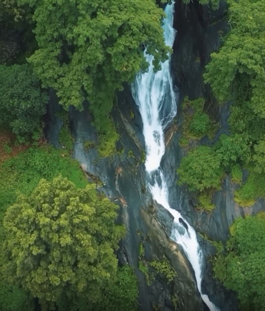 A sparkling waterfall cascading down dark rocks into a clear pool, surrounded by deep green ferns and moss-covered trees. The sunlight filters through the canopy above.