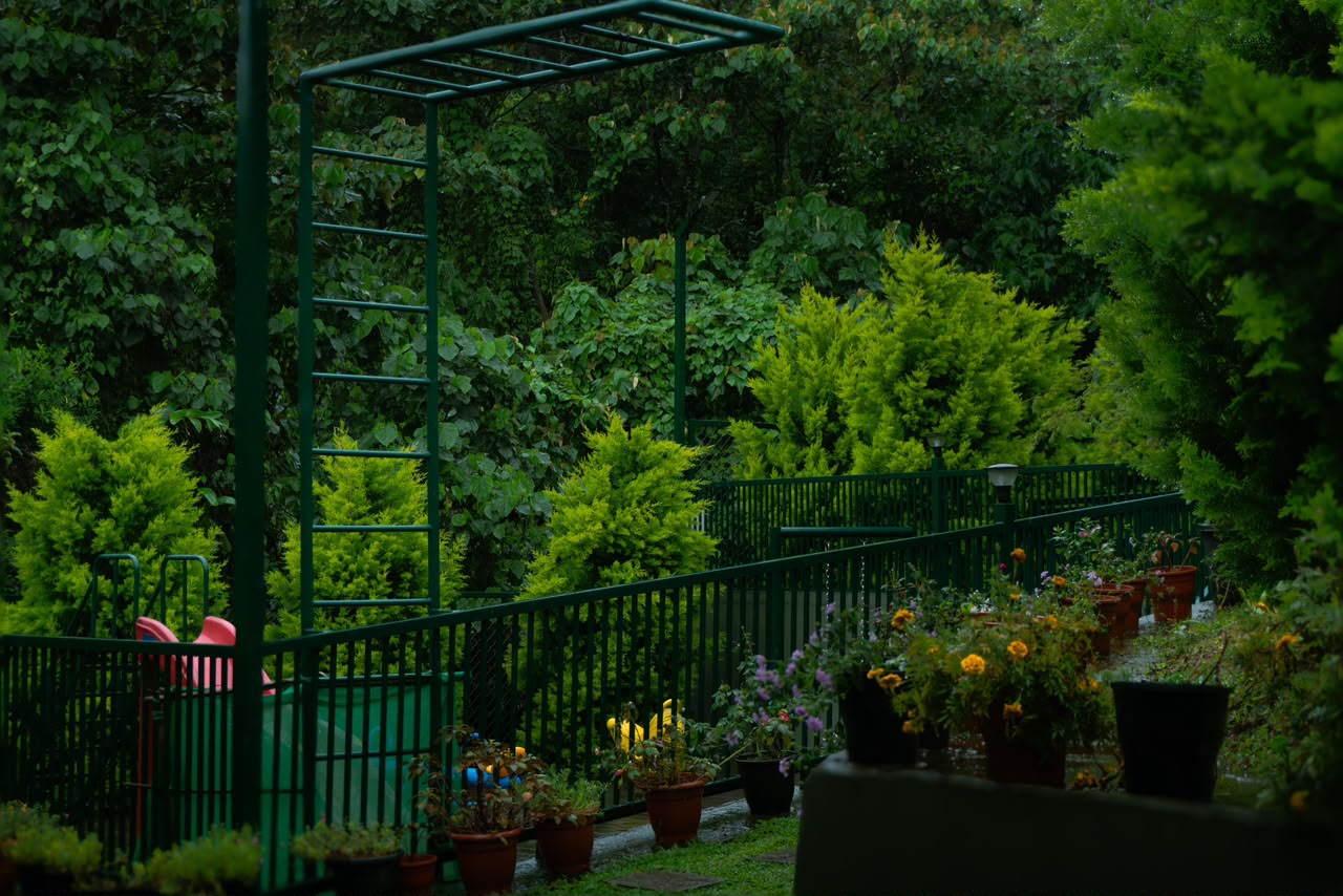 Outdoor Lounge View